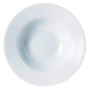 DPS PORCELITE STANDARD WINGED PLATE 25OZ