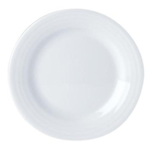 DPS PORCELITE FOCUS FLAT PLATE 11.8inch